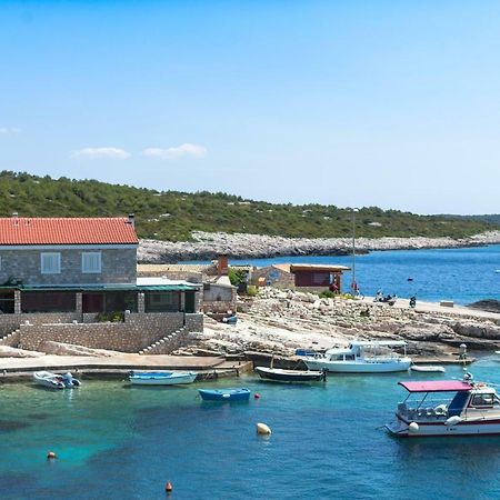 Apartments Dalmatino Рукавац Экстерьер фото