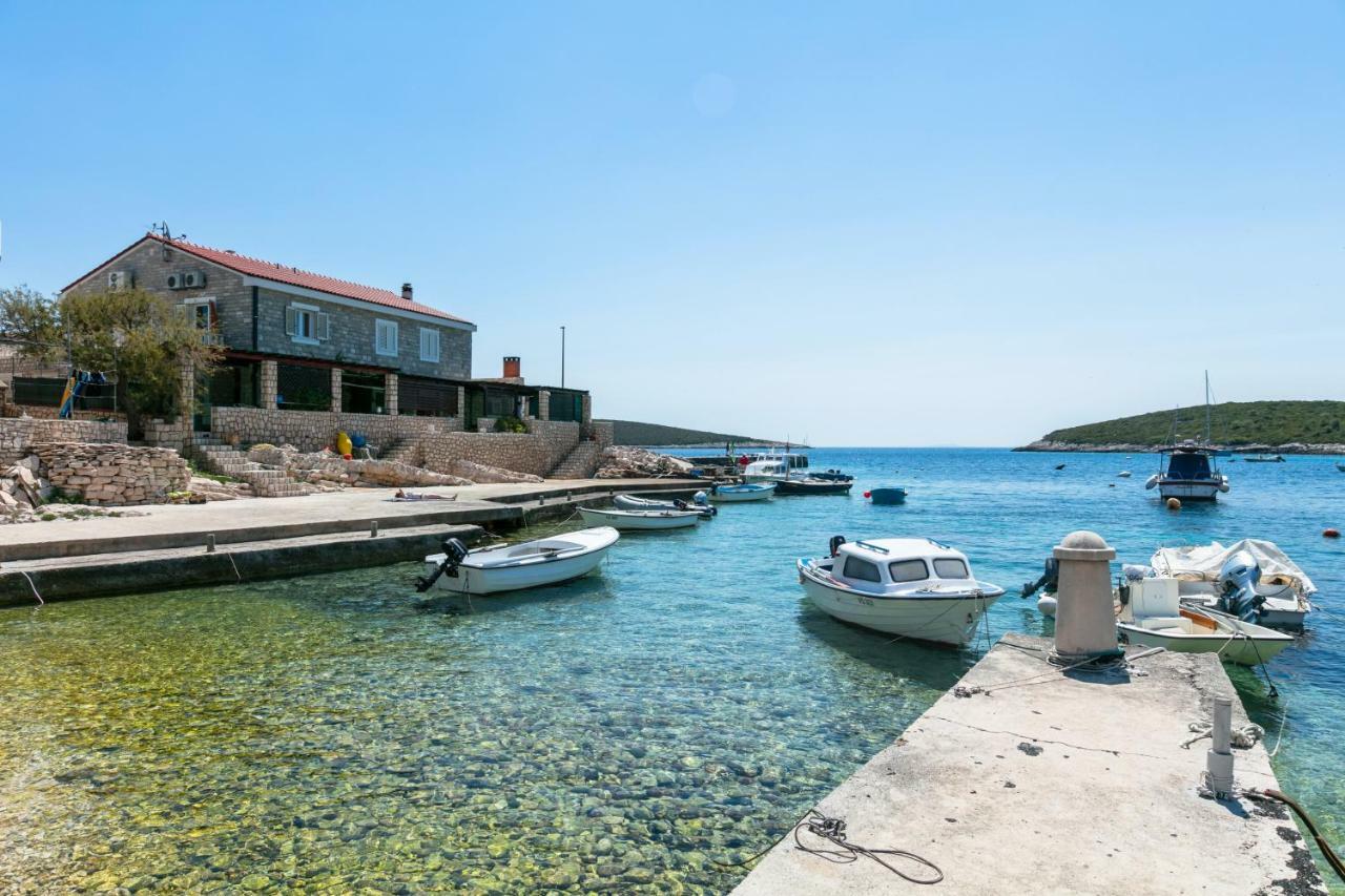 Apartments Dalmatino Рукавац Экстерьер фото